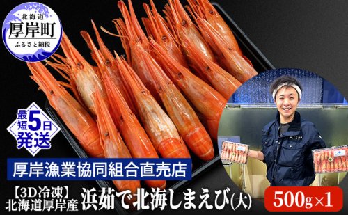 えび 3D冷凍 北海道 厚岸産 浜茹で 北海しまえび 大サイズ 500g (25尾前後) 海老 エビ 952412 - 北海道厚岸町