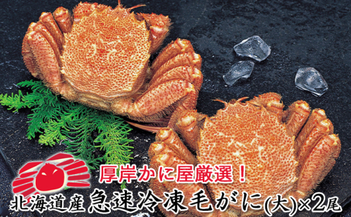 かに屋厳選 北海道産 急速 冷凍 毛がに (大)×2尾 蟹 かに 毛カニ 952420 - 北海道厚岸町