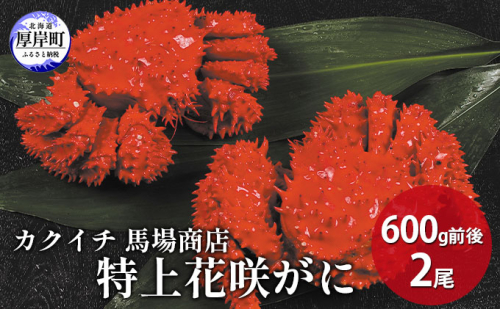 蟹屋厳選 北海道　厚岸産 特上花咲がに 600g前後×2尾 蟹 かに 952510 - 北海道厚岸町