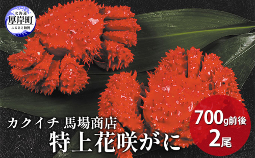 蟹屋厳選  北海道厚岸産 特上花咲がに 700g前後×2尾 蟹 かに 952511 - 北海道厚岸町