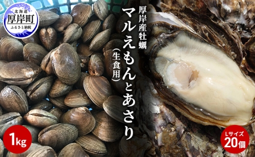 北海道厚岸産牡蠣「マルえもん」Lサイズ20個（生食用）とあさり1kg 952535 - 北海道厚岸町