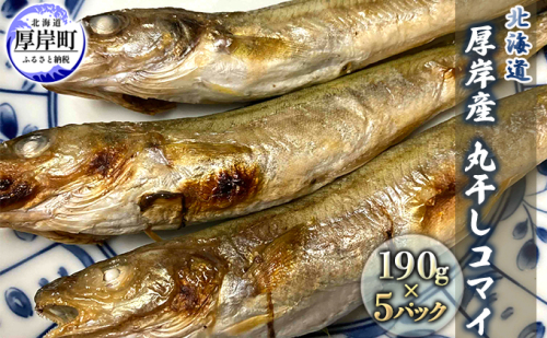 北海道 厚岸産 丸干しコマイ 190g×5パック ソウルフード 魚貝類 干物 焼魚 おつまみ 冷凍 厚岸湖 天日干し 焼くだけ おかず  952548 - 北海道厚岸町