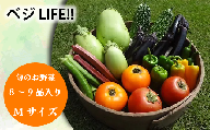 新鮮 旬の野菜セットMサイズ (約8~9品)