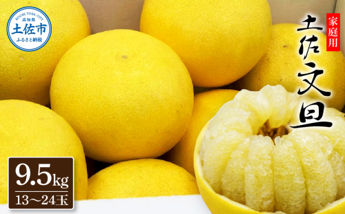 生産者直送　土佐文旦9.5kg[2L～4L] 952755 - 高知県土佐市