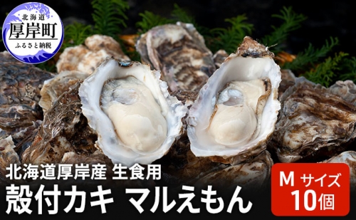 北海道 厚岸産 生食用 殻付カキ Mサイズ 10個 マルえもん 牡蠣 952756 - 北海道厚岸町