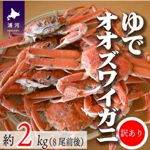 訳あり ゆでオオズワイガニ約2kg(8尾前後入)[02-1306] 952919 - 北海道浦河町