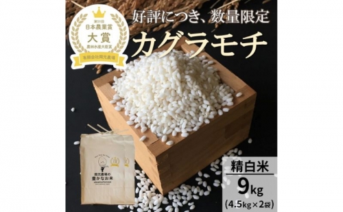 【日本農業賞大賞】もち米9kg（4.5kg×2袋）精白米(カグラモチ) 953848 - 石川県能美市