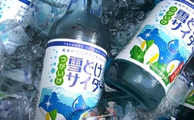 雪どけサイダー20本セット　340ml×20本 954340 - 長野県小谷村