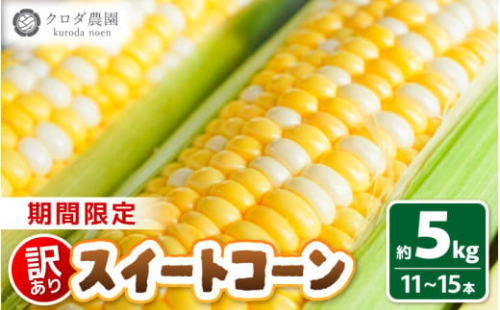 【先行予約】【訳あり】農場直送 鮮度抜群 スイートコーン（ とうもろこし ）約5kg （11本～15本） 【2026年7月上旬より順次発送予定】【お楽しみ バーベキュー 冷凍保存可能 焼肉 おやつ ご飯のおとも 野菜 国産 産地直送】 [e62-a009]