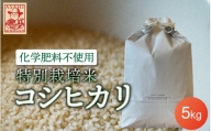 令和5年産 特別栽培米 コシヒカリ 5kg（精米） [e18-a004]