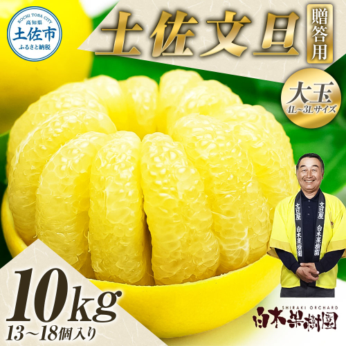 ＼果樹園直送／土佐文旦 約10kg 4L～3Lサイズ 13～18個入り 大玉・特大玉〈特選品贈答用〉 白木果樹園 954662 - 高知県土佐市