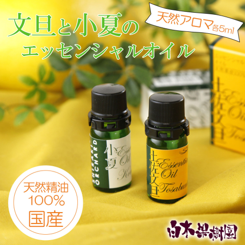 文旦・小夏エッセンシャルオイル（アロマオイル）セット（１００％天然植物精油）5ml×2本 954702 - 高知県土佐市