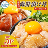 訳あり海鮮漬け丼(タイ3P・カンパチ2P)セット 漬け丼 漬け 鯛 かんぱち 勘八 白身魚 食べ比べ 海鮮 魚 冷凍 食品 保存食 小分け 高知 土佐 海鮮丼 漬け丼 ぶっかけ 鯛めし 惣菜 そうざい 訳アリ わけあり 不揃い 規格外 故郷納税 返礼品