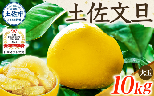 【日本ギフト大賞2024受賞】【先行予約】文旦 大玉10kg（3L～2L）2026年1月下旬より順次発送 954715 - 高知県土佐市
