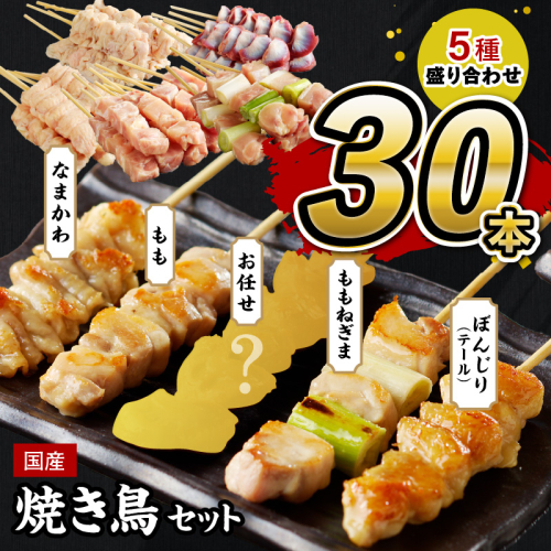 焼き鳥 30本 ／国産焼き鳥セット 5種盛り合わせ30本 バラエティ 焼き鳥 セット ＜もも串焼き鳥／ねぎま焼き鳥／かわ焼き鳥／ テール（ぼんじり焼き鳥）串焼き鳥・冷凍焼き鳥・焼き鳥詰め合わせ・焼き鳥小分け＞ 954717 - 京都府京丹後市
