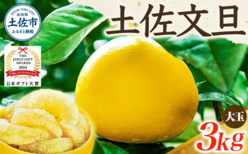 【日本ギフト大賞2024受賞】【先行予約】文旦 大玉3kg（3L～2L）2026年1月下旬より順次発送 954718 - 高知県土佐市