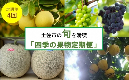 『年4回届く』四季の果物定期便 954722 - 高知県土佐市