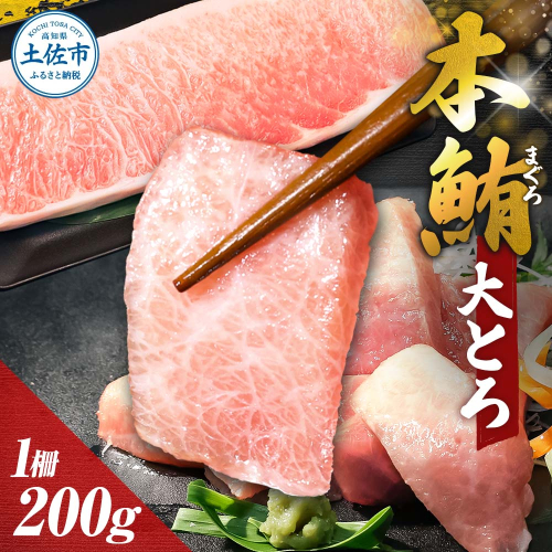 本鮪  大トロ200ｇ マグロ まぐろ 本まぐろ 刺身 刺し身 魚 海鮮 冷凍 美味しい おいしい 故郷納税 ふるさとのうぜい 返礼品 高知県 高知 954760 - 高知県土佐市