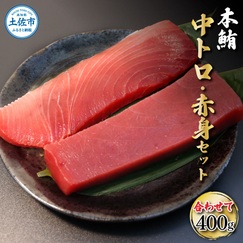 本鮪　中トロ・赤身　各200ｇ合せて400ｇ　赤身中トロセット 赤身 トロ マグロ まぐろ 本まぐろ 刺身 刺し身 魚 海鮮 冷凍 美味しい おいしい 食べ比べ セット 故郷納税 ふるさとのうぜい 返礼品 高知県 高知 954762 - 高知県土佐市