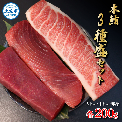 本鮪　大トロ・中トロ・赤身　各200g　まぐろ3種盛セット  マグロ まぐろ 本まぐろ 刺身 刺し身 魚 海鮮 冷凍 美味しい おいしい 食べ比べ セット 詰め合わせ 故郷納税 ふるさとのうぜい 返礼品 高知県 高知 954763 - 高知県土佐市