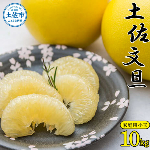 ＜先行予約 2026年2月上旬より順次発送＞高知県産土佐文旦家庭用小玉商品10kg 954835 - 高知県土佐市