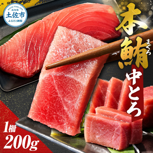 本鮪 中トロ200g トロ マグロ まぐろ 本まぐろ 刺身 刺し身 魚 海鮮 冷凍 美味しい おいしい 故郷納税 ふるさとのうぜい 返礼品 高知県 高知 954879 - 高知県土佐市