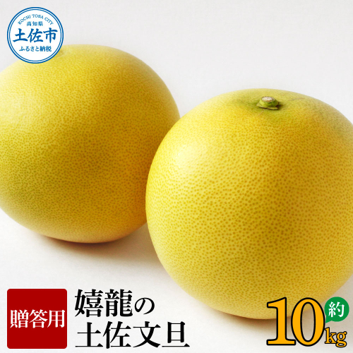 ＜2026年1月下旬より順次発送＞嬉龍の土佐文旦　贈答用　2～3Ｌサイズ　約10kg　減農薬 みかん 柑橘 フルーツ 1月～3月発送 文旦 ぶんたん ブンタン 果物 お取り寄せ おいしい 美味しい ギフト 贈り物 故郷納税 返礼品 高知県 高知 954905 - 高知県土佐市