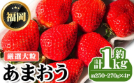 ＜先行予約受付中・数量限定＞2025年2月からお届け！厳選大粒あまおう(計約1kg・約250～270g×4P) 苺 いちご イチゴ フルーツ 果物 くだもの 手作り スイーツ ＜離島配送不可＞【ksg1249】【THE FARM_strawberry】