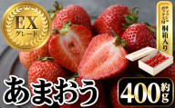 ＜先行予約受付中・数量限定＞2025年2月からお届け！プレミアムあまおうEX ティッシュボックス用特別仕様の桐箱入り(約400g) 苺 いちご イチゴ フルーツ 果物 くだもの 手作り スイーツ ギフト 贈答 ＜離島配送不可＞【ksg1251】【THE FARM_strawberry】