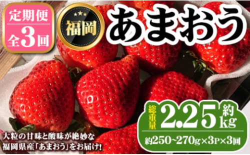 《先行予約受付中・数量限定》＜定期便・全3回＞2026年1月からお届け！いちご定期便 あまおう(総重量約2.25kg・約250～270g×3P×3回) いちご 苺 あまおう くだもの フルーツ 定期便 ＜離島配送不可＞【ksg1255】【THE FARM_strawberry】