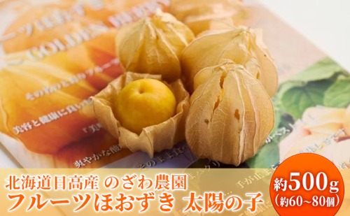 【2026年発送 先行予約】【 のざわ農園 】 フルーツ ほおずき 「 太陽の子 」約500g 北海道 日高産 希少 ホオズキ 955355 - 北海道日高町