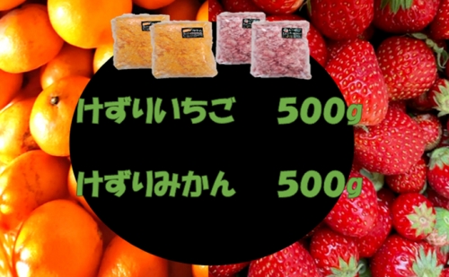 御前崎産」けずりいちご・みかんセット500g入り 各2セット 955455