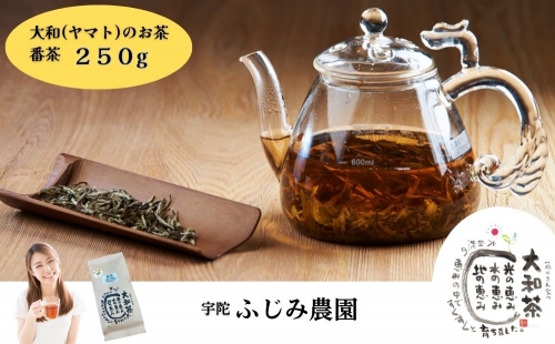 大和(ヤマト)のお茶 　ほうじ茶ティーパック　3袋 955551 - 奈良県宇陀市
