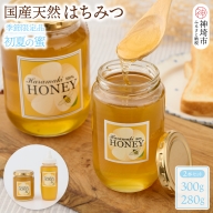 【数量限定】国産天然蜂蜜（初夏の蜜）300g & 280g【合計580g】(H049128)