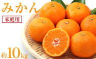 みかん 約10kg(家庭用)[2025年11月下旬から発送][柑橘 フルーツ 果物 くだもの 食品 人気 おすすめ 広島県 尾道市]