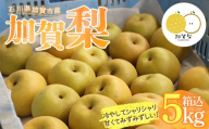 [先行予約]石川県加賀市産 加賀梨(幸水) 箱込5kg (2024年8月中旬以降順次発送) なし ナシ 梨 フルーツ 果物