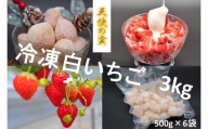 シエルファーム 冷凍白いちご 天使の実 3kg / 苺 千葉 希少品種