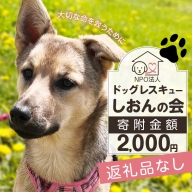 【野犬の保護活動】浜中町「ドッグレスキューしおんの会」を支援　2000円分 返礼品なし
