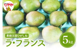 ■説明自家栽培、収穫したラ・フランスです。外観からは想像できない上品な果物です。追熟させることによって、多汁でとろけるようにやわらかくなります。常温でも、冷やしても美味しいです。食べきれない時はコンポ