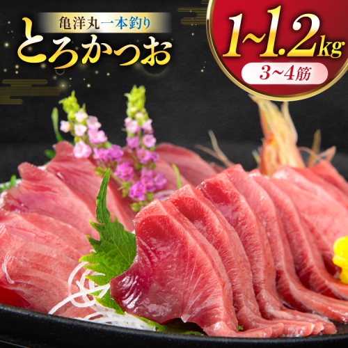 【TVで紹介！】亀洋丸一本釣りとろかつお 1kg～1.2kg [阿部長商店 宮城県 気仙沼市 20565040] 魚介類 海鮮 魚 カツオ かつお 鰹 トロ トロかつお 刺し身 刺身 お刺身 冷凍 95725 - 宮城県気仙沼市