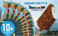 ブラックモンブラン10本セット 竹下製菓  アイス クリーム スィーツ