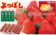 佐賀県産いちご「よつぼし」(230g×2パック) しもむら農園 イチゴ 苺
