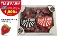 加工用冷凍 苺 佐賀ブランドいちごの（いちごさん）1kg（1,000g）TMファーム