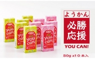 you can! ようかん10本入（小城羊羹）合格祈願！ 部活応援！