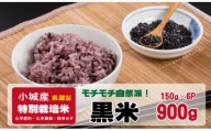 佐賀県認定 特別栽培 （化学肥料・化学農薬使用せず）モチモチ自然派食「黒米」（150g×6個）