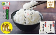 佐賀県認定 特別栽培米 食べ比べ「減農薬米」さがびより・ひのひかり（5㎏×各1袋）しもむら農園