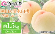 桃茂実苑 清水 白桃 （等級：エース）約1.5kg 5～7玉入り