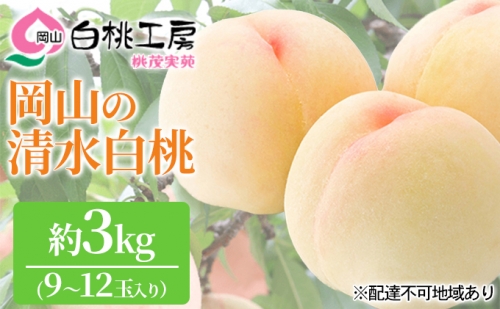 桃茂実苑 清水 白桃 3kg（9～12玉）