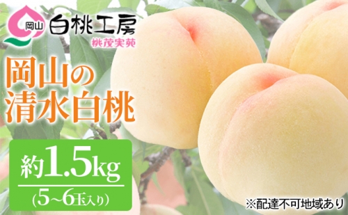 桃茂実苑 清水 白桃 1.5kg（5～6玉）
