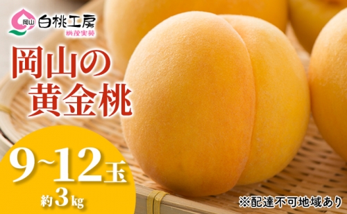 桃 黄金 桃 3kg 9～12玉 もも フルーツ 果物 岡山 桃茂実苑 2023年 先行予約